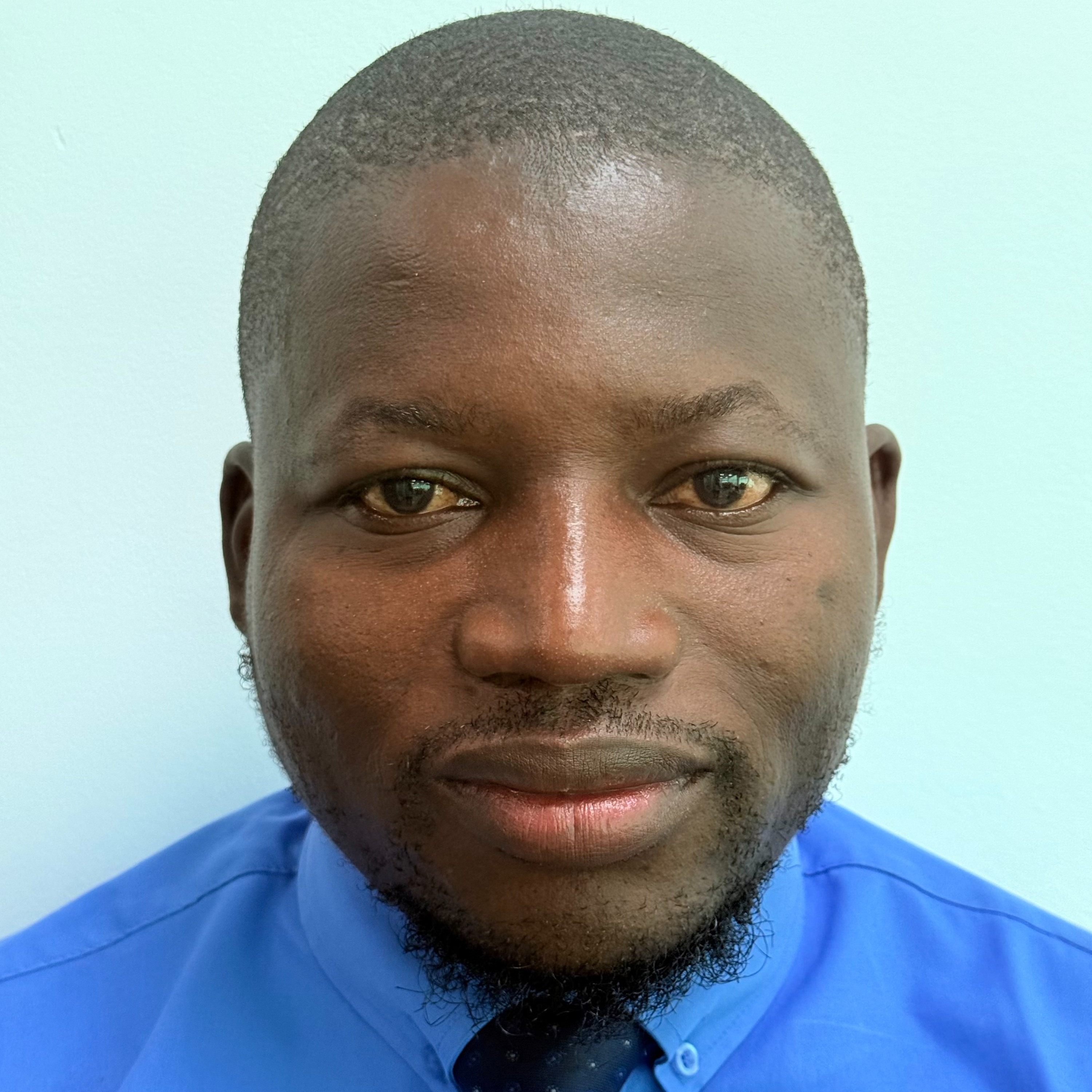 A stylized graphic of a green tree with four horizontal layers of leaves and a brown trunk, resembling a palm tree. The trunk is centrally aligned, and there is a green crescent shape at the bottom. A small green crescent sits at the top of the tree.