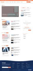 A webpage layout displaying a blog with sections for Latest Post, Today's Picks, Business News, and Sports News. It includes post summaries, images, a search bar, newsletter sign-up, and navigation links. The footer contains contact information and additional links.